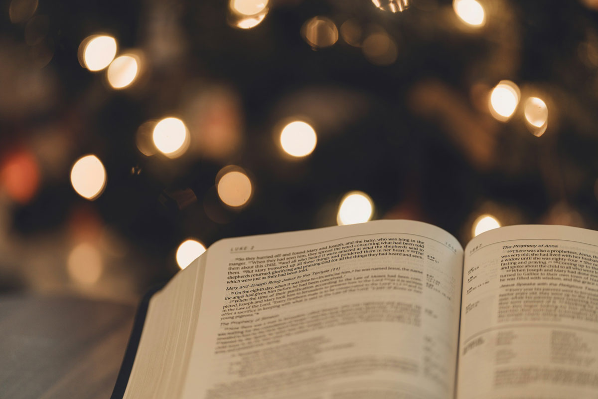 An open Bible with lighted Christmas tree in the background